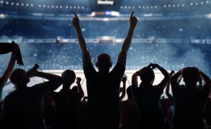 Hockey fans at stadium